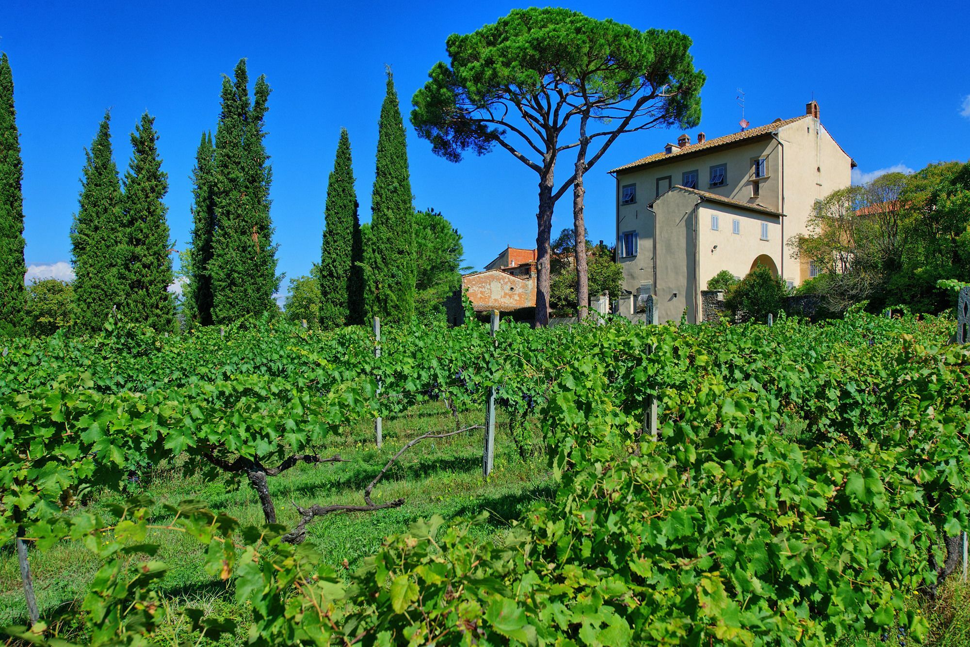 Villa Giovi Arezzo Exterior foto